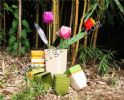 Biodegradable Plant Fiber Flower Pot
